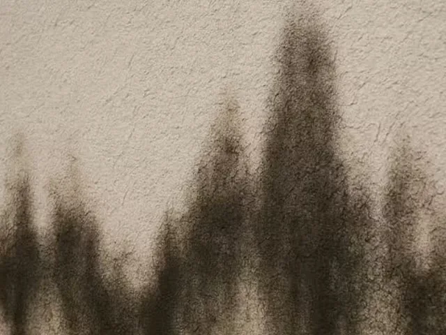 Water stains streaking down stucco