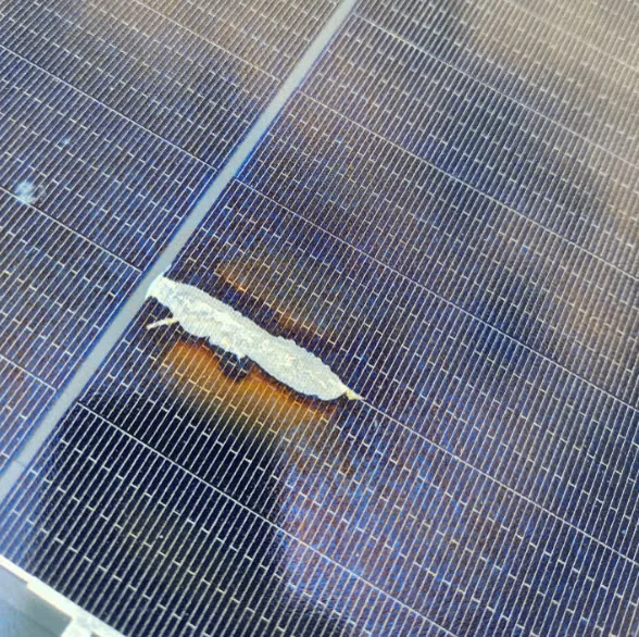 A stain burned onto a solar panel cell