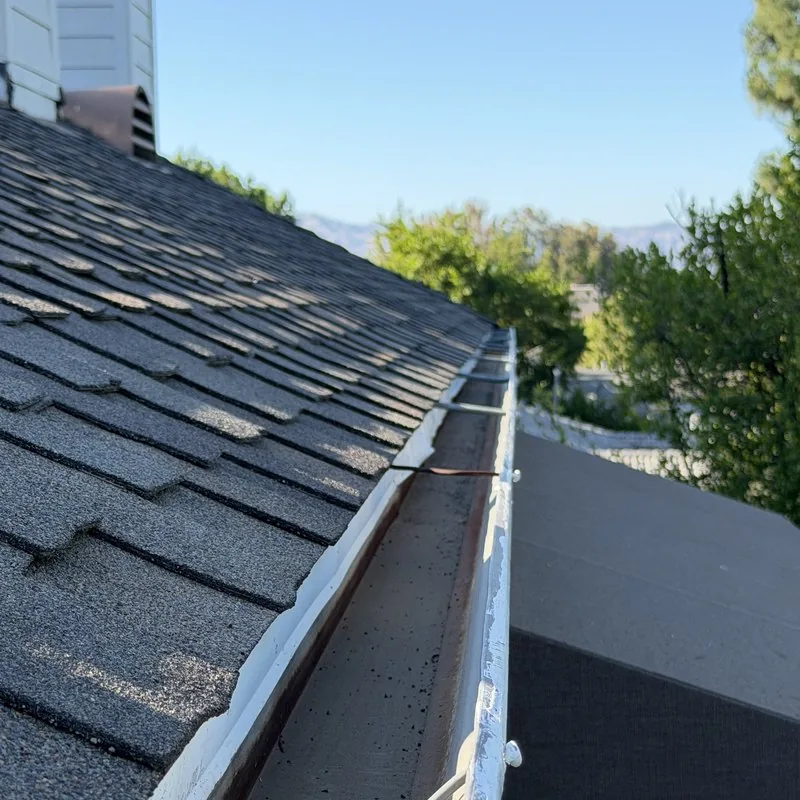 Gutter cleaning